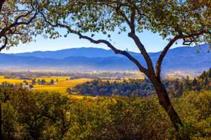 Napa valley-4844-2.jpg Napa valley-4844-2.jpg